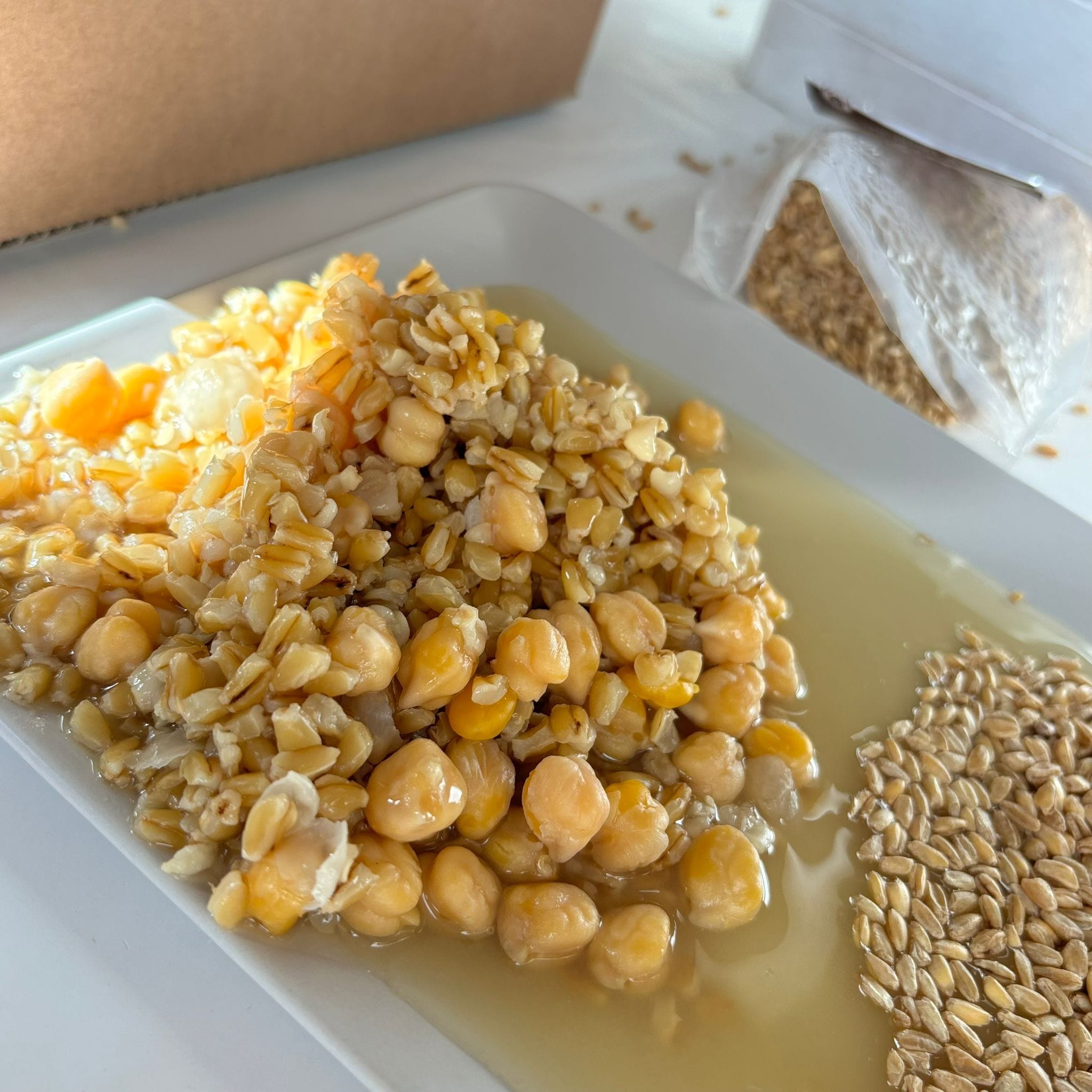 Ricetta della Cuccia di Santa Lucia